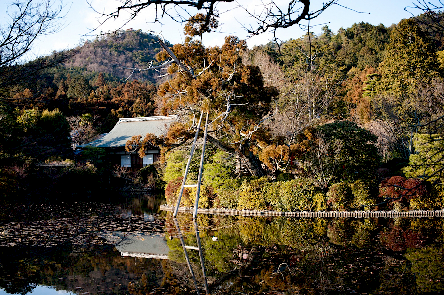 JETAA 2022 September Events round up